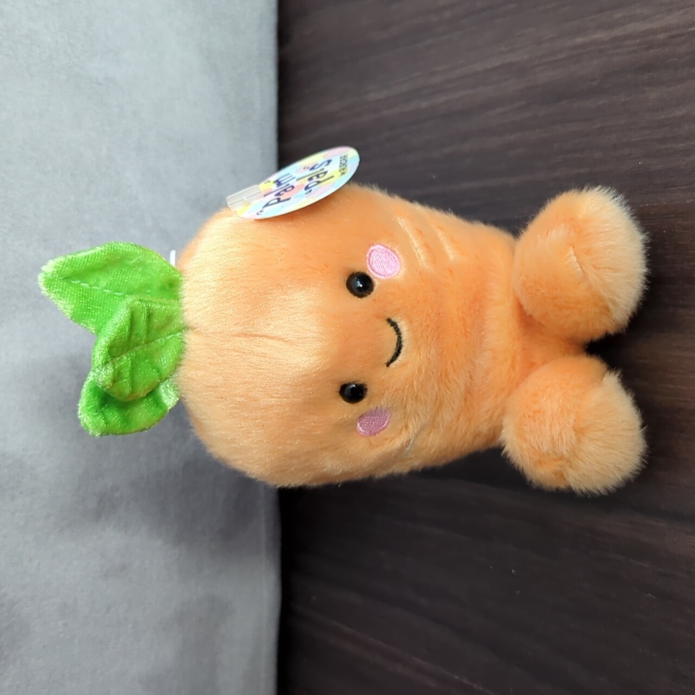 Cheerful Carrot Palm Pals